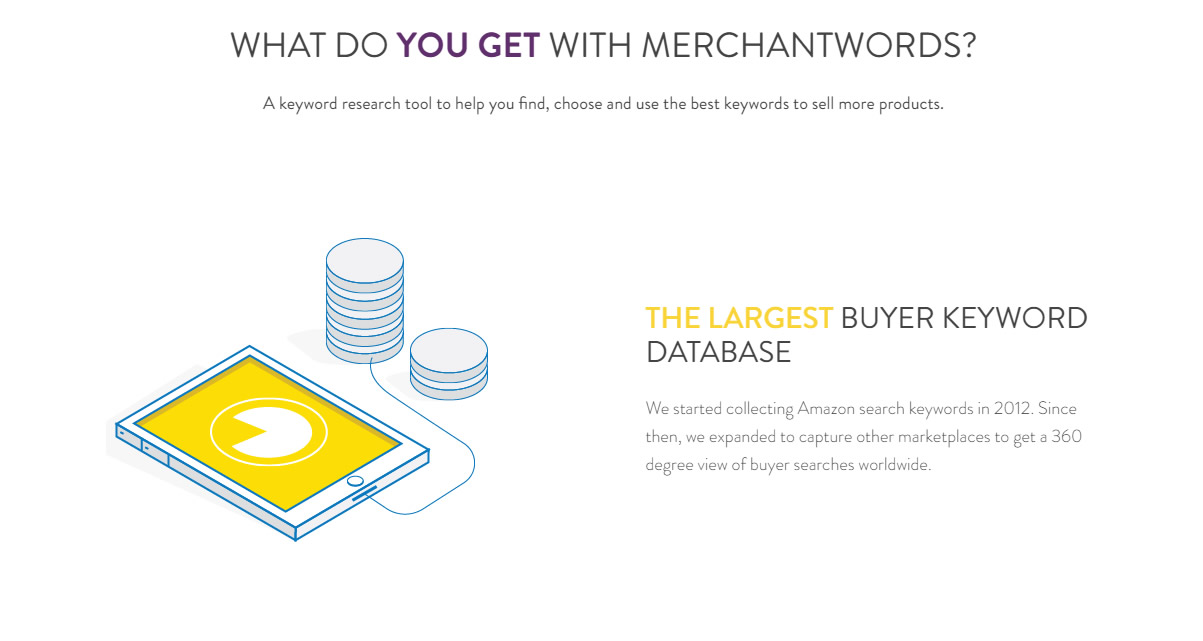 what is merchantwords